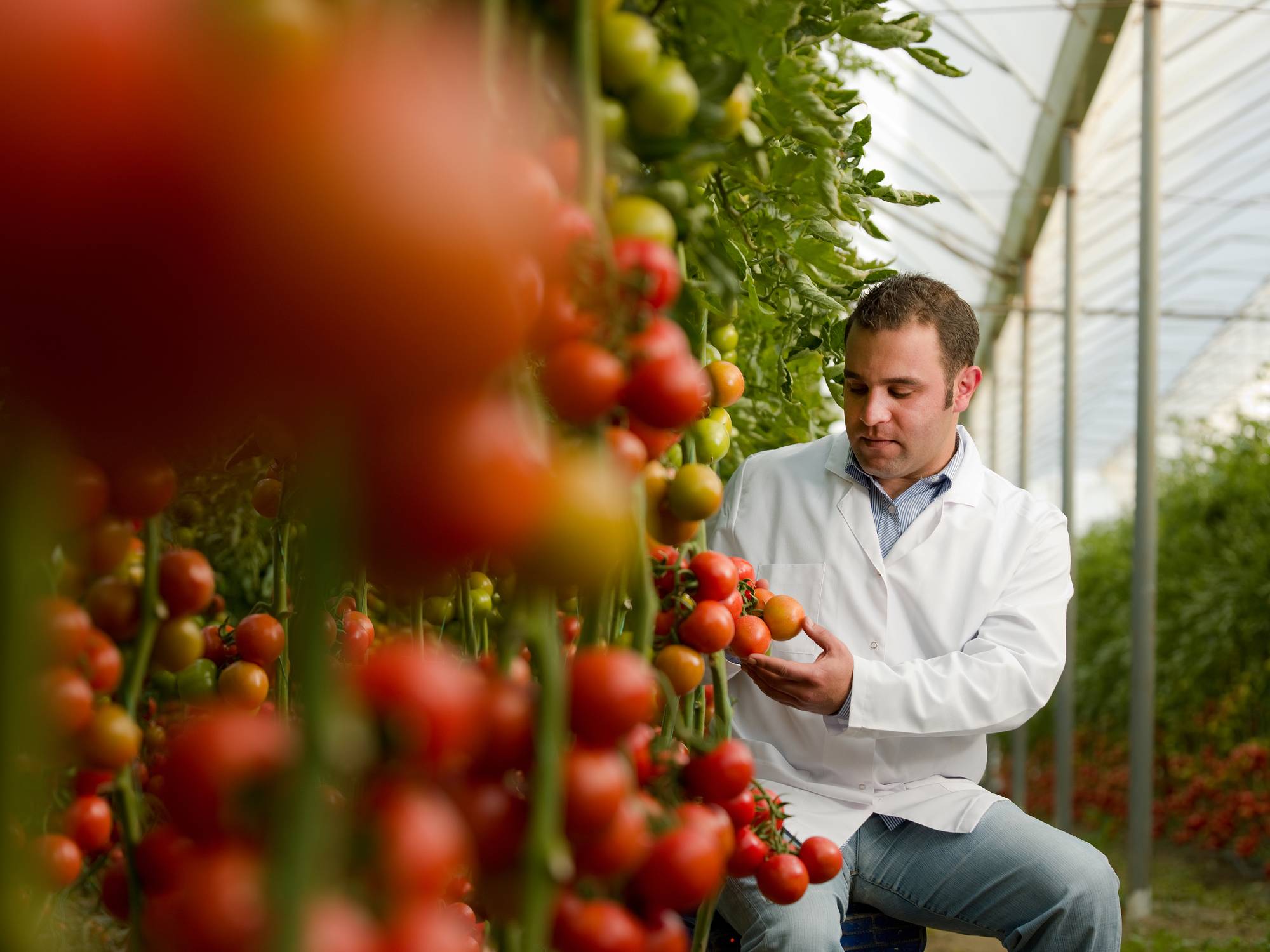 Traceable agriculture operations and higher food safety