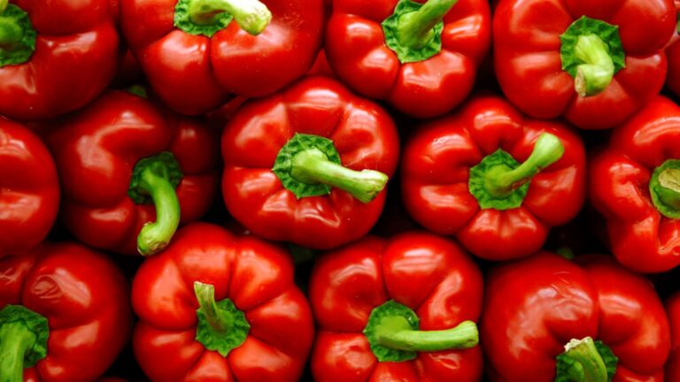 fresh-food-agriculture-onetrace-by-gs1