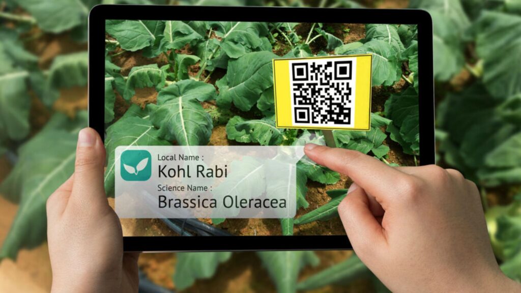 fresh-food-agriculture-barcode-tracking-onetrace